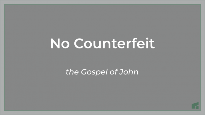 No Counterfeit Series Thumbnail