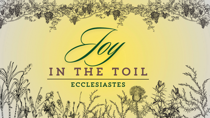 Joy in the Toil Series Graphic