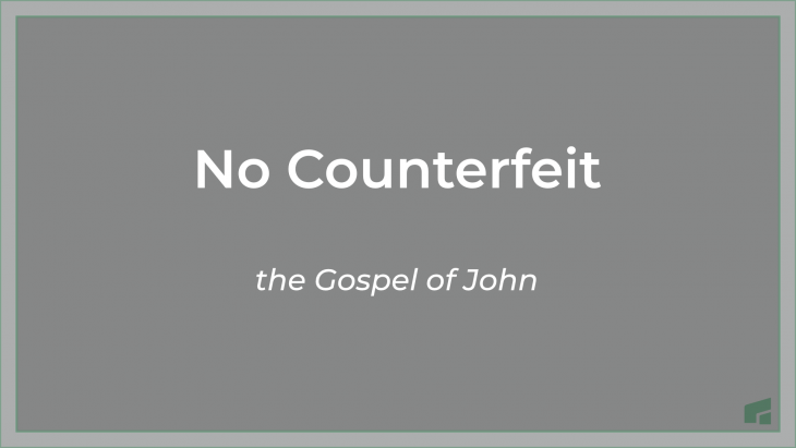 No Counterfeit Series Graphic